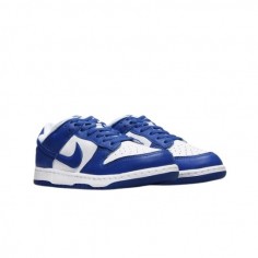 Nike Dunk Low Kentucky 2