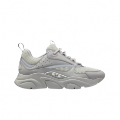 Dior B22 Grey