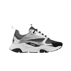 Dior B22 Grey Silver
