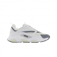 Dior B22 White Grey