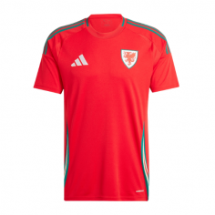 Camiseta Gales Eurocopa...