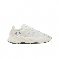 Yeezy Boost 700 ANALOG