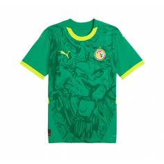 Camiseta Senegal 24/25 2ª...