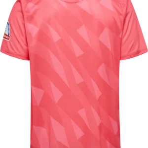 Camiseta Werder Bremen 26/27 3ª equipación - vista 2