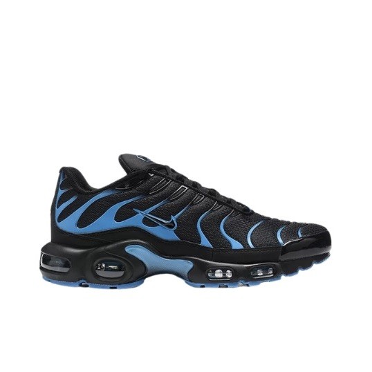 3177.jpg Nike TN