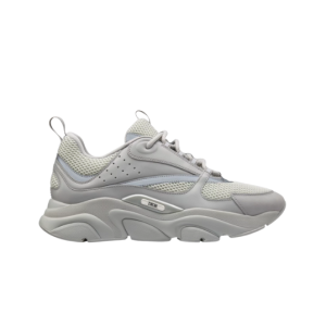 Dior B22 Grey
