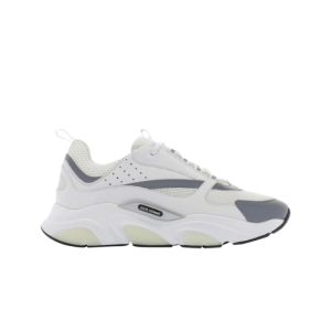 Dior B22 White Grey