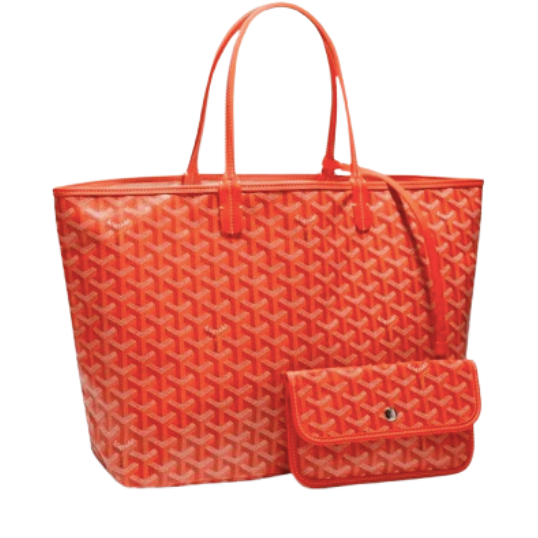 5209.png Bolso Goyard